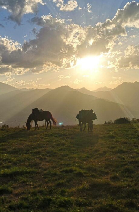 Week end à cheval Bivouac en Baronnies